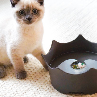 Gamelle pour animaux de compagnie – Image 3
