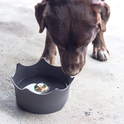 Gamelle pour animaux de compagnie – Image 4