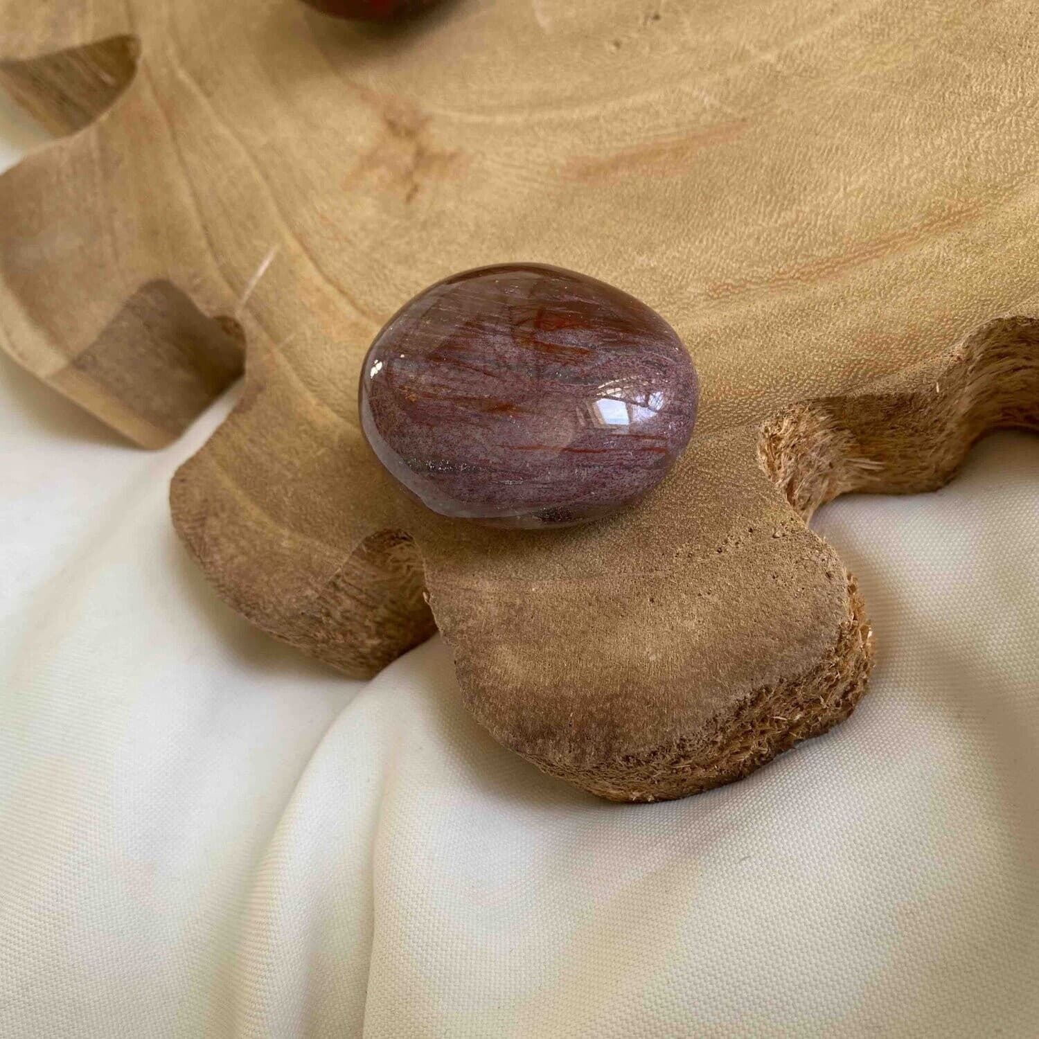 Bois fossilisé de Madagascar