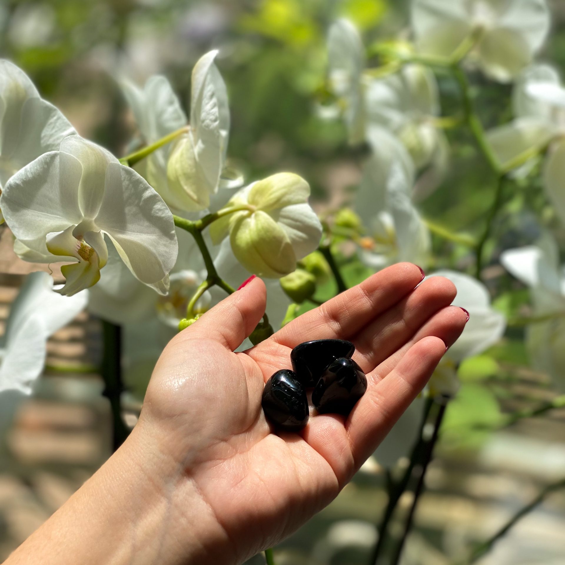 Tourmaline noire du Brésil