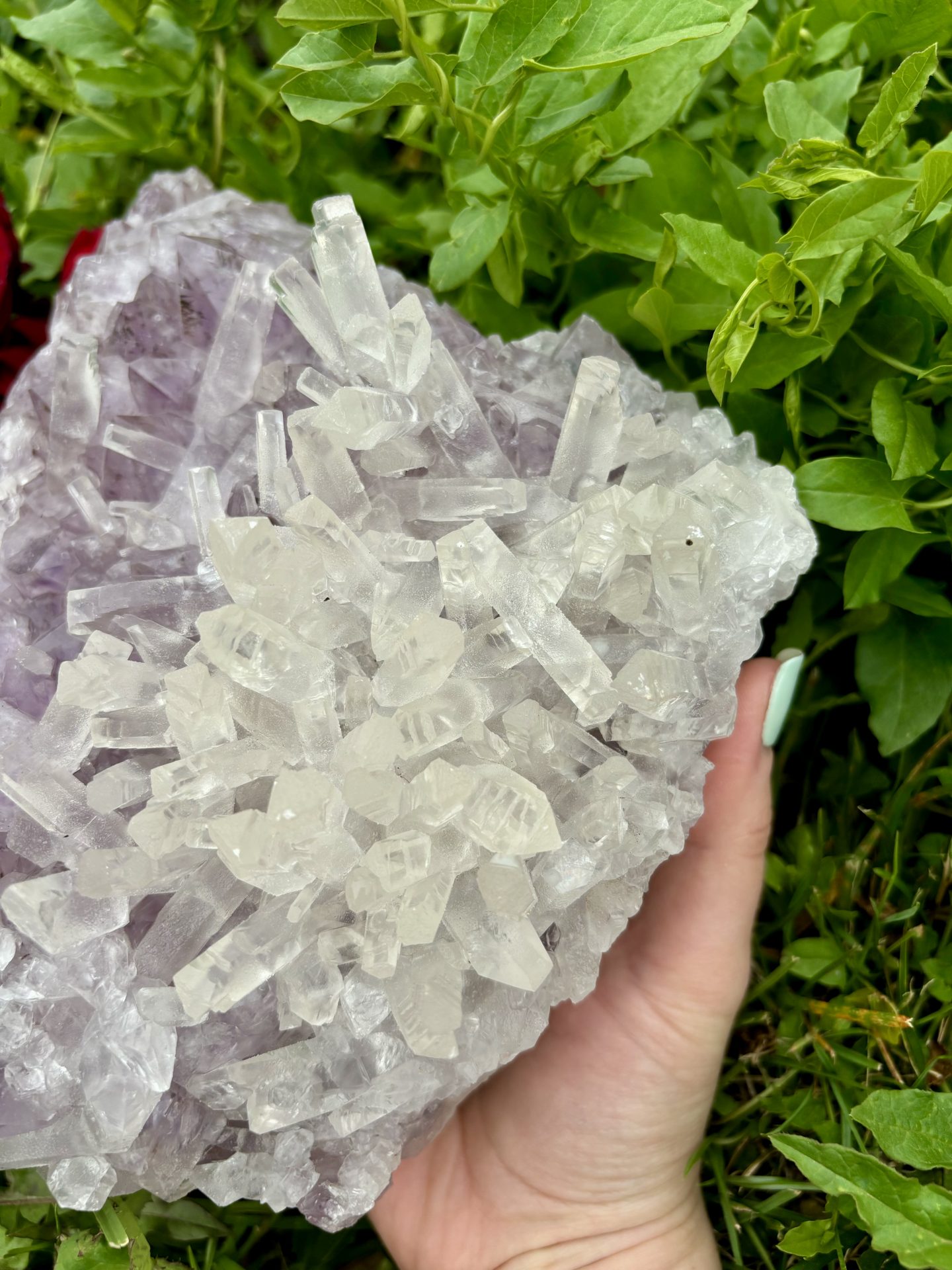 Druse d'Améthyste avec inclusion de Calcite d'Uruguay 3023g n°1 – Image 4