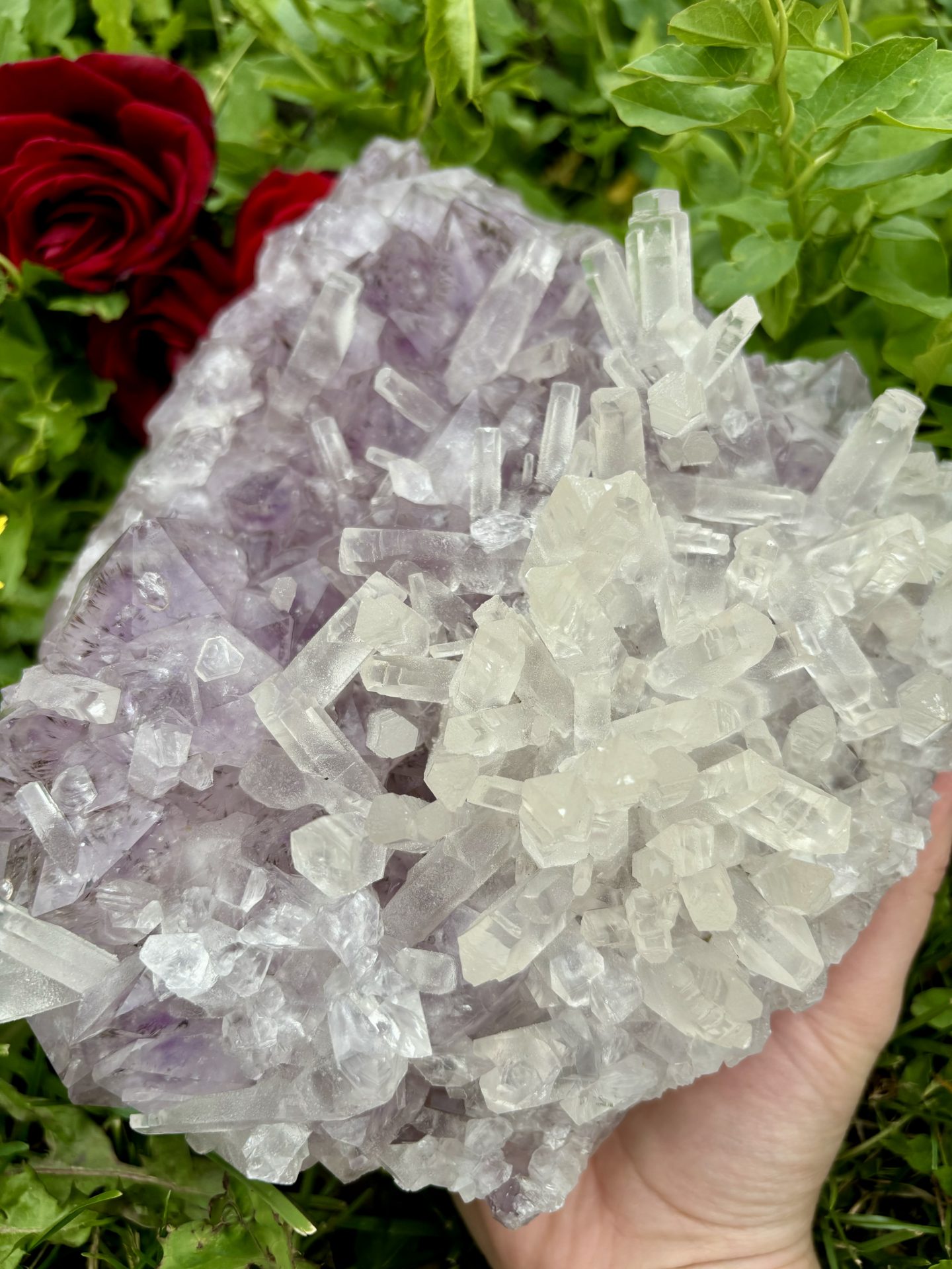 Druse d'Améthyste avec inclusion de Calcite d'Uruguay 3023g n°1 – Image 5