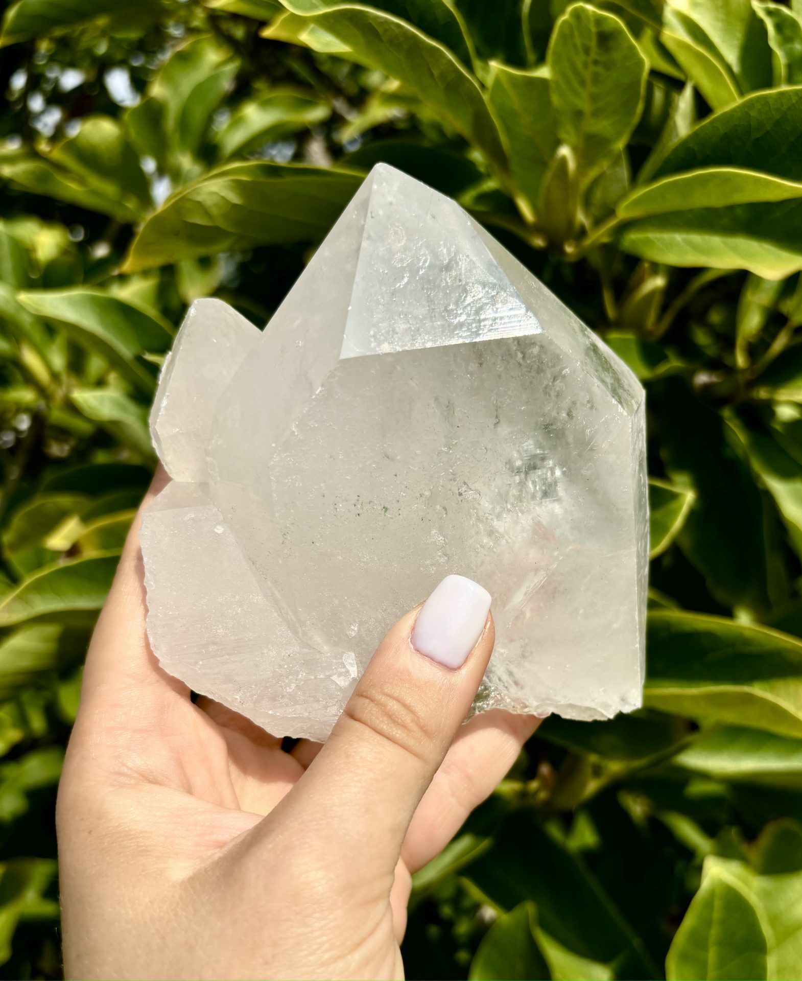 Amas de Cristal de Roche du Brésil AA n°3 528g