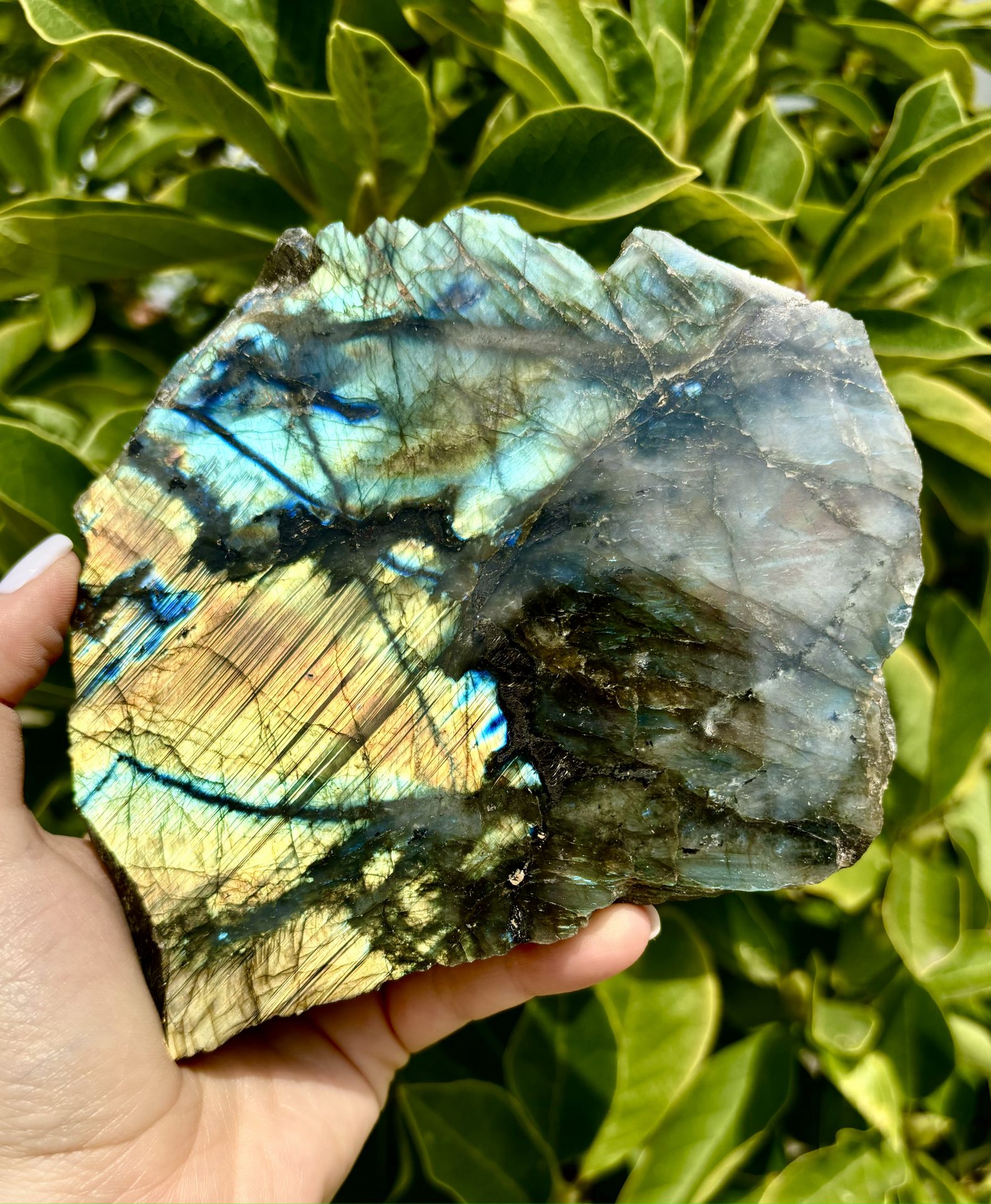 Labradorite de Madagascar semi polie n°25 922g