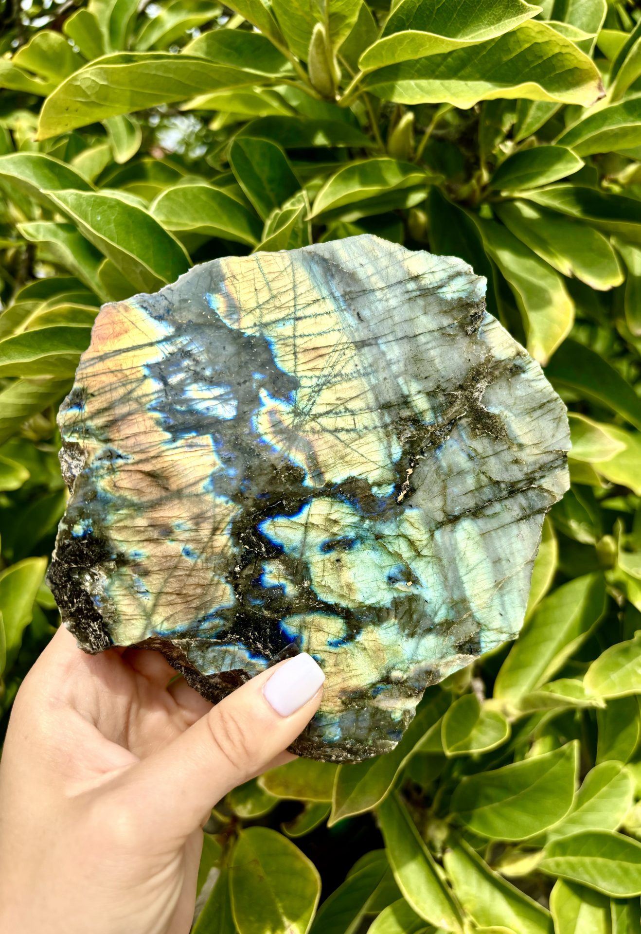 Labradorite de Madagascar semi polie n°30 1003g