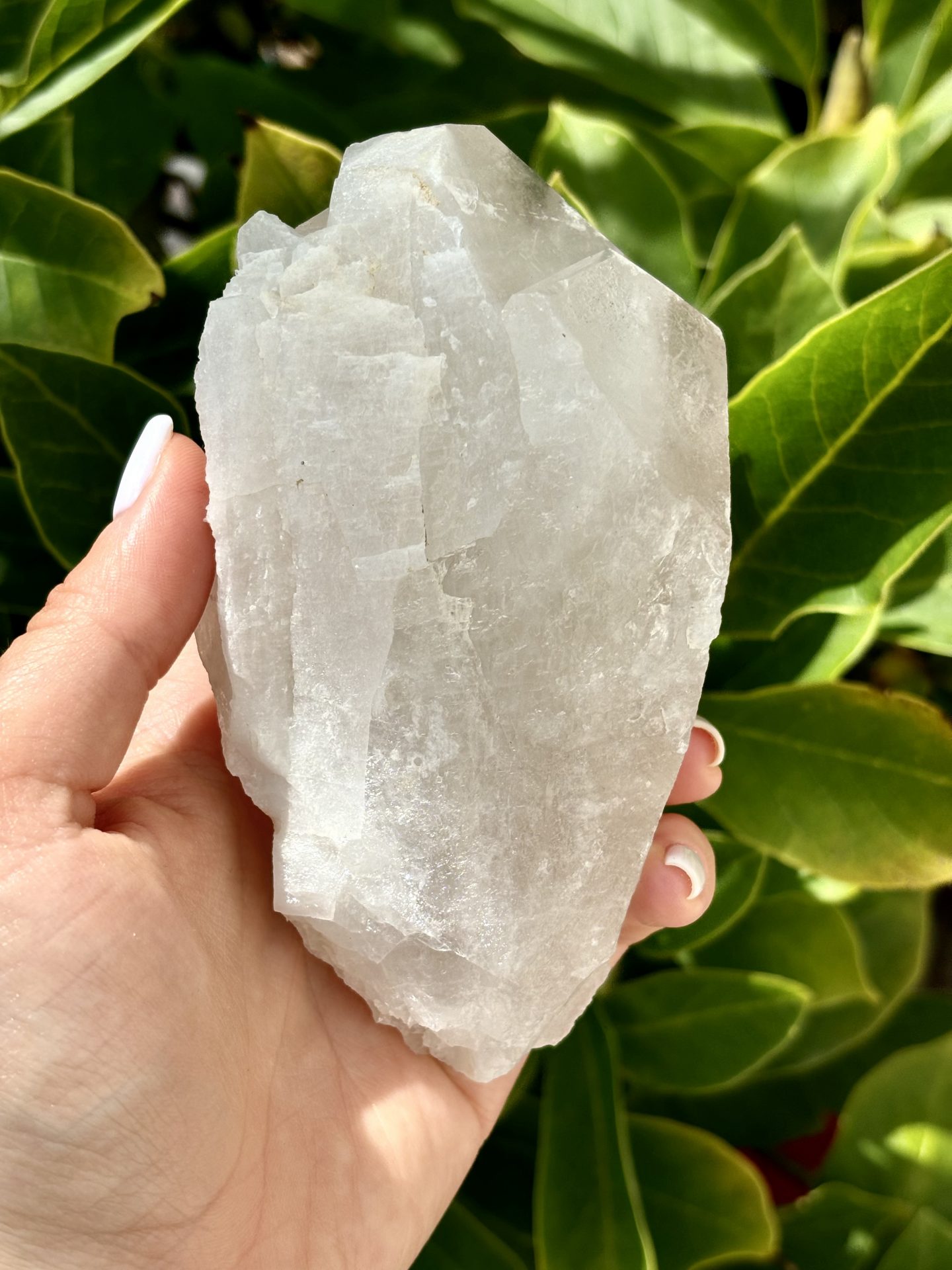 Amas de Cristal de Roche du Brésil AA n°13 536g – Image 6