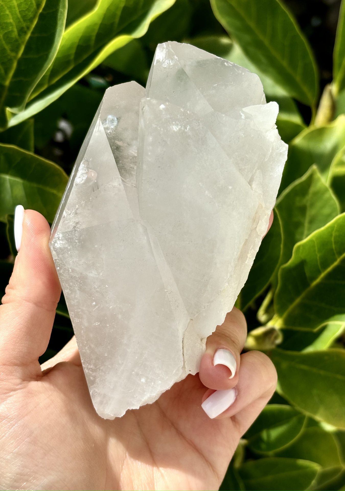 Amas de Cristal de Roche du Brésil AA n°13 536g – Image 7