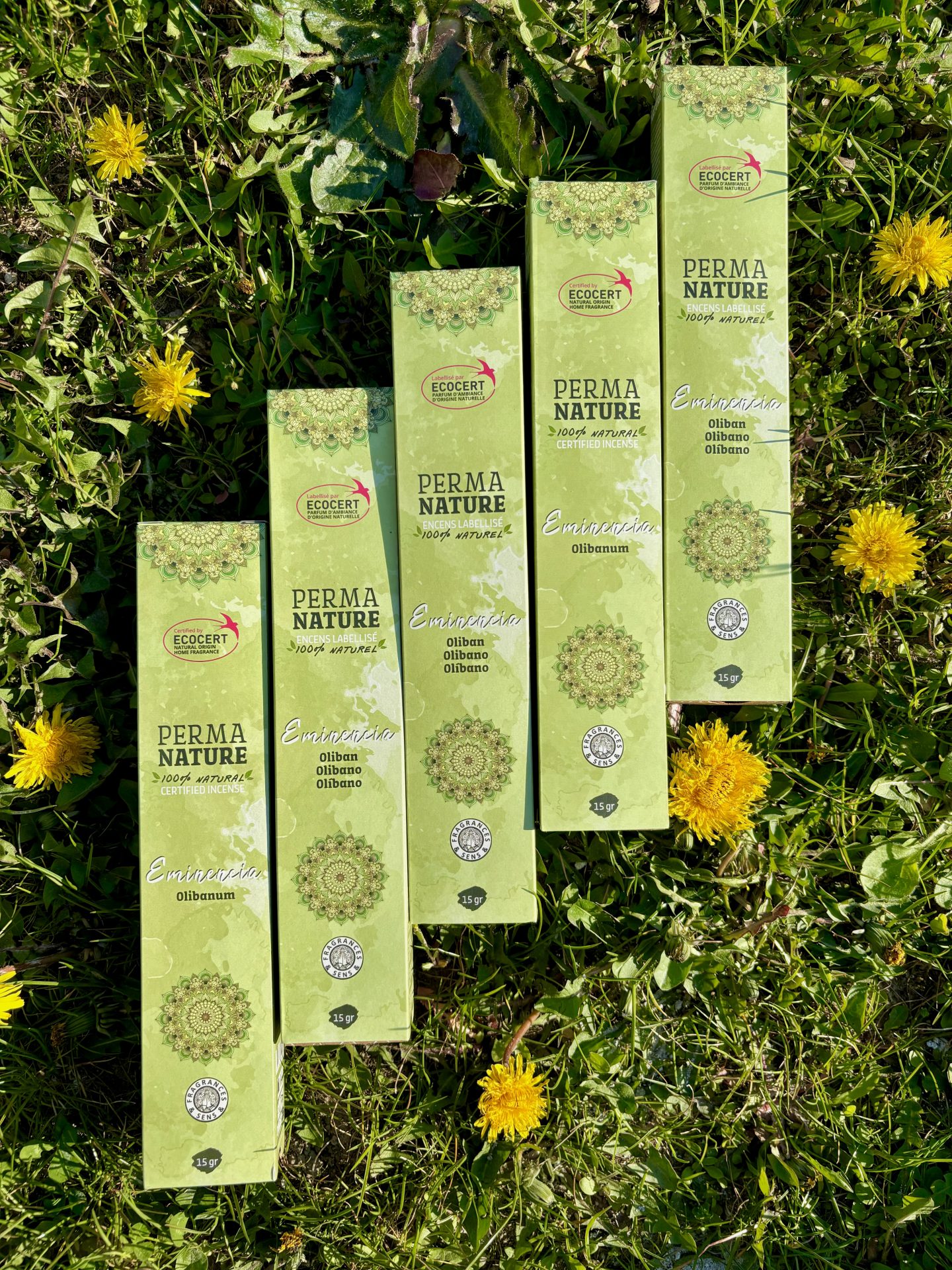 Encens EMINENCIA à l'Oliban - Approuvé ECOCERT 100% Naturel