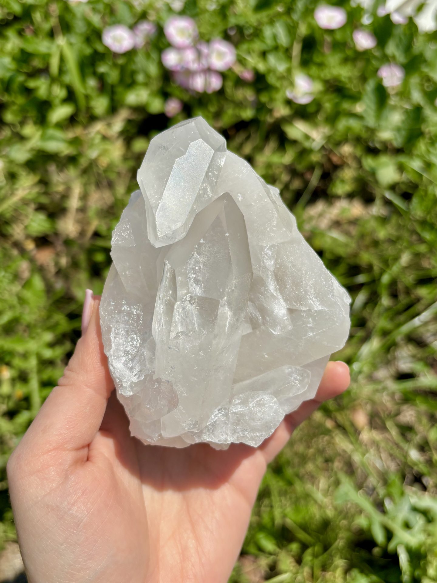 Amas de Cristal de Roche du Brésil A n°18 520g – Image 3