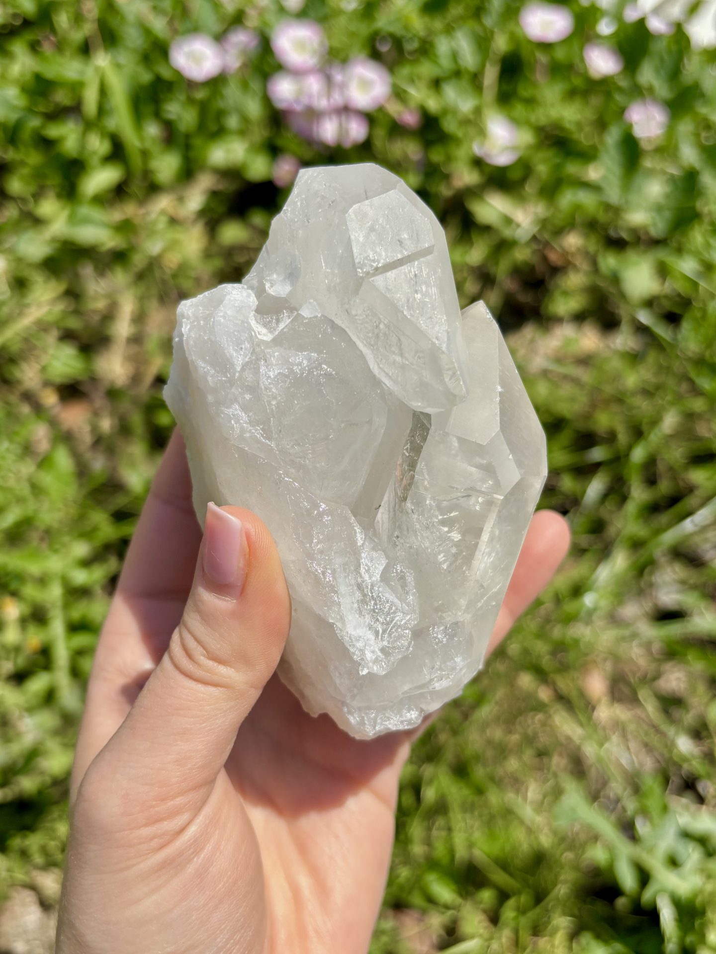 Amas de Cristal de Roche du Brésil A n°18 520g – Image 4