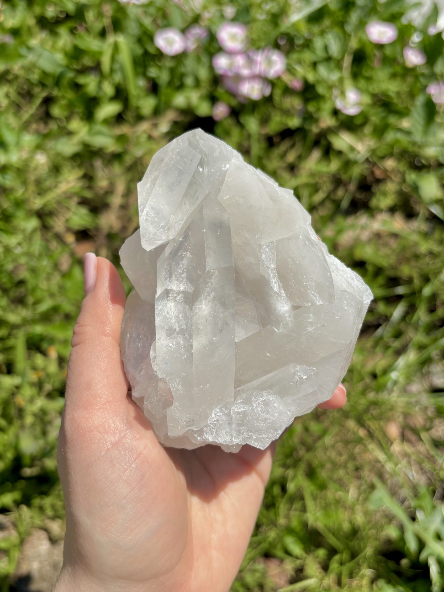 Amas de Cristal de Roche du Brésil A n°18 520g – Image 7