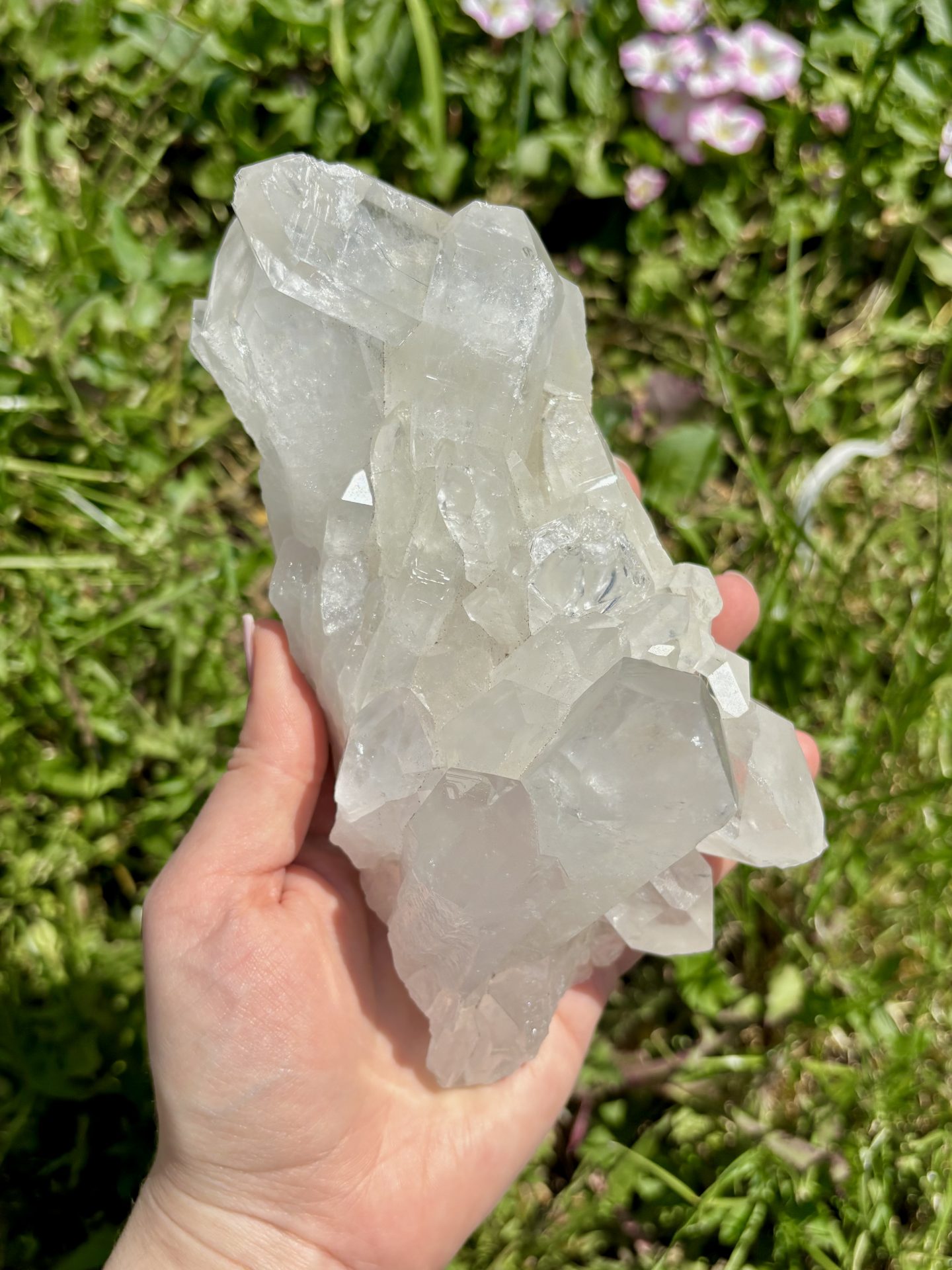 Amas de Cristal de Roche du Brésil AA n°16 960g – Image 3