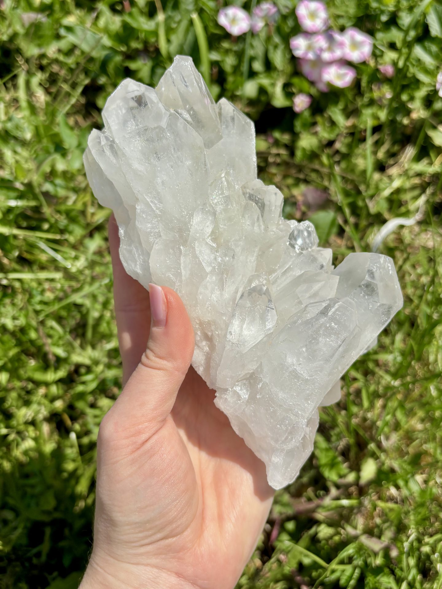 Amas de Cristal de Roche du Brésil AA n°16 960g