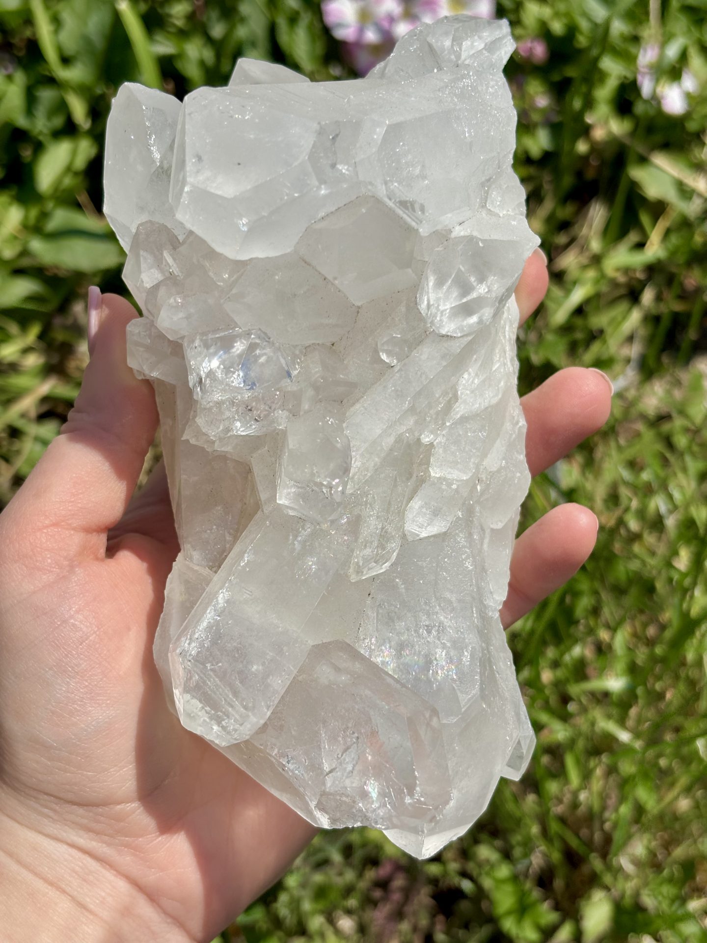 Amas de Cristal de Roche du Brésil AA n°16 960g – Image 10