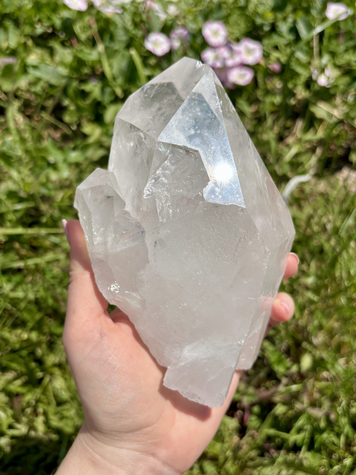 Amas de Cristal de Roche du Brésil AA n°15 1206g