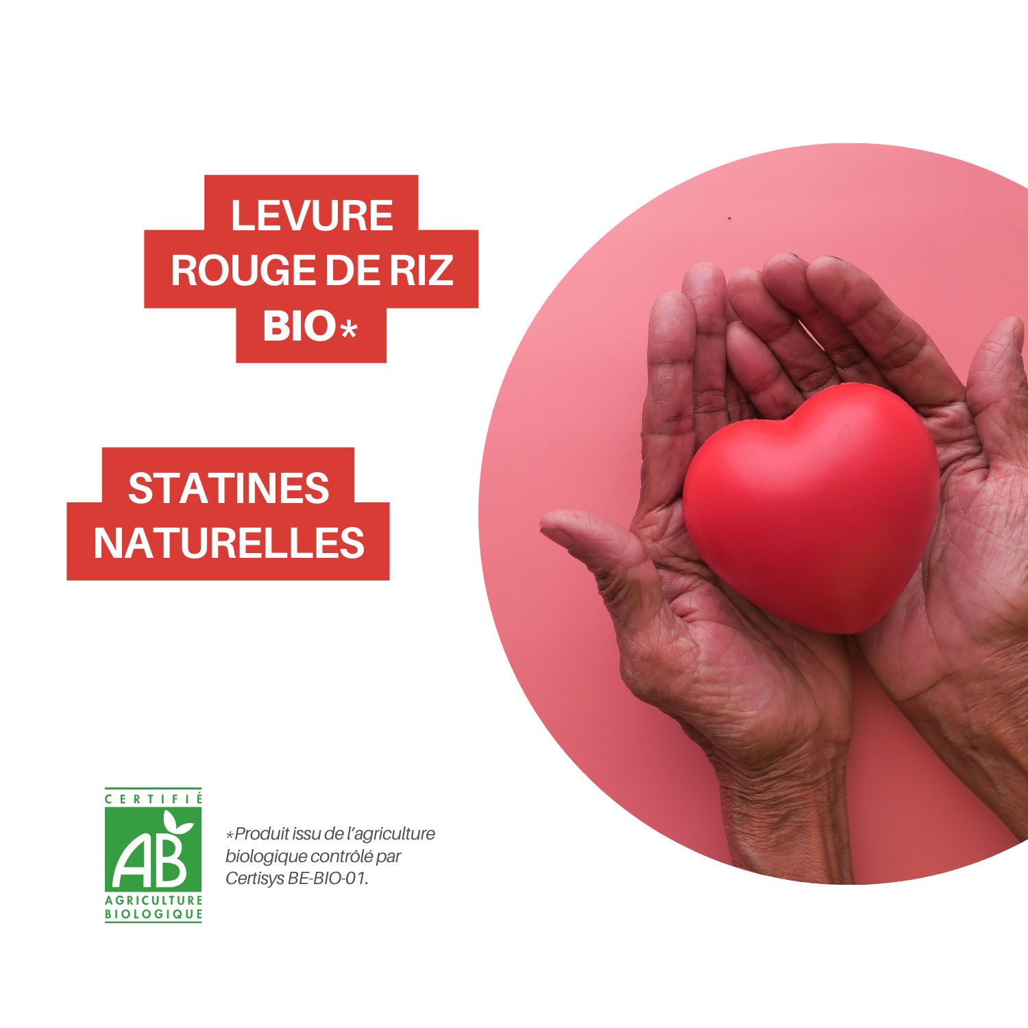 Choledoc – Levure de riz rouge Bio – Statines naturelles – Image 3
