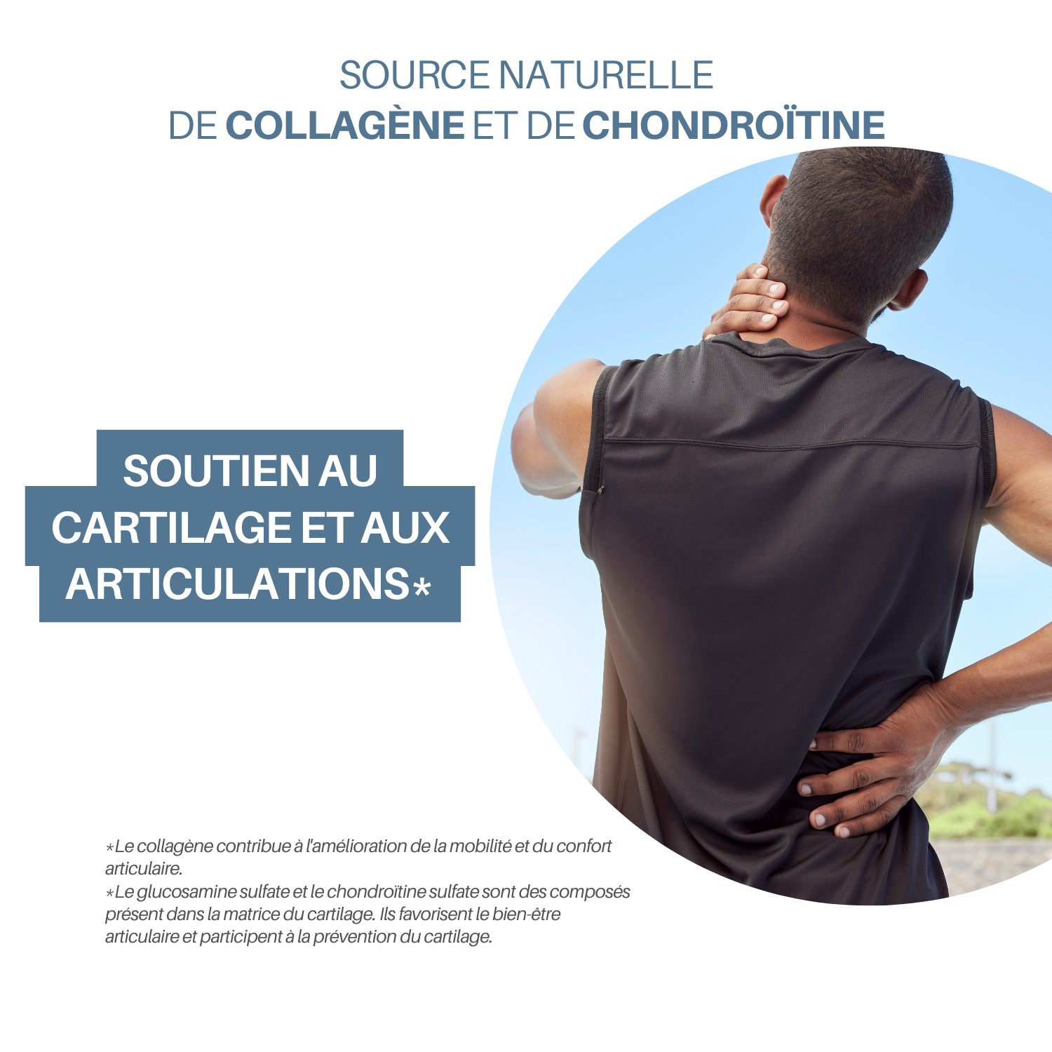 Cartilage de Requin – Soutien articulaire & Cartilage – Image 3
