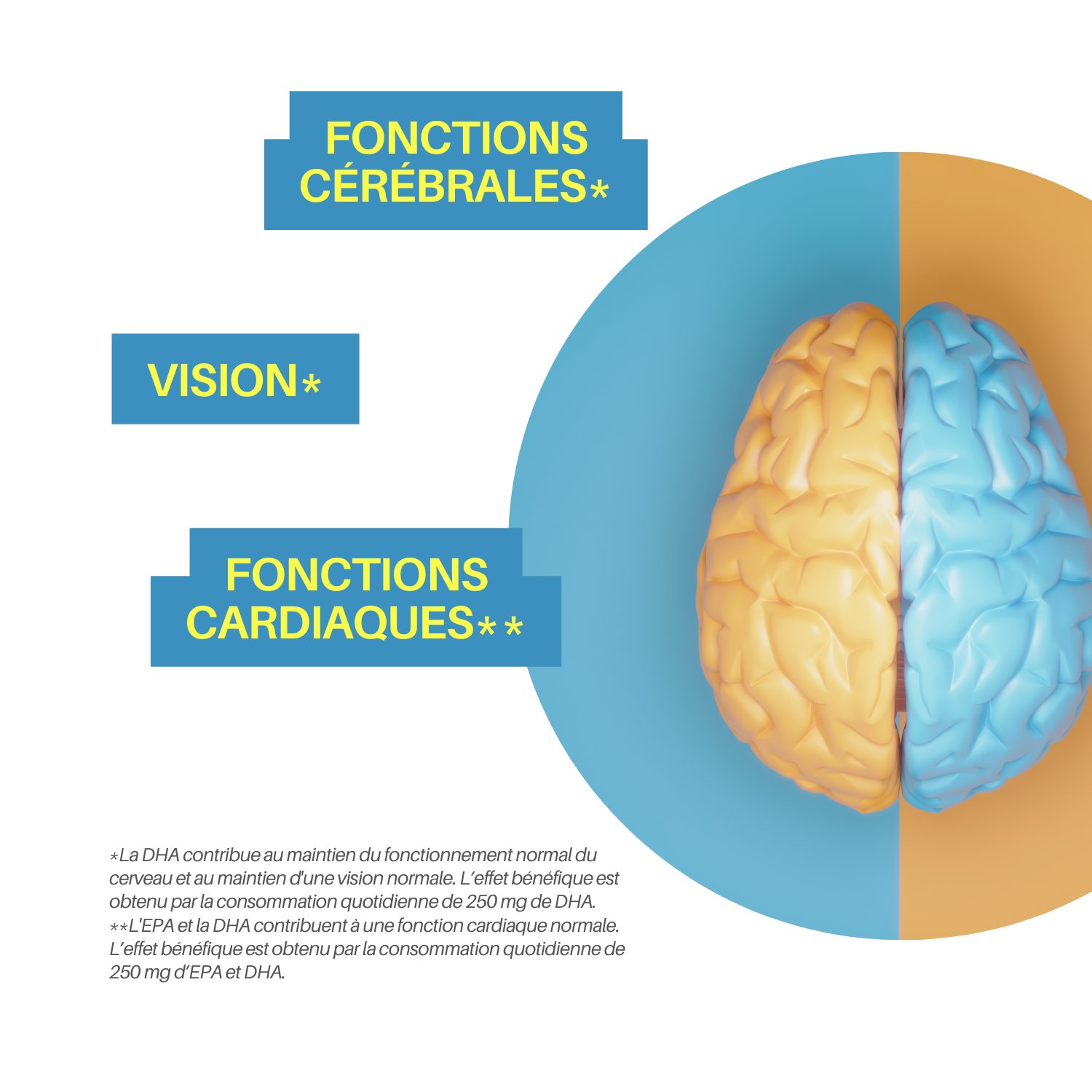 Nodol Oméga-3 – Qualité Premium – Cœur, Vision & Cerveau – ToTox 3 – Image 3