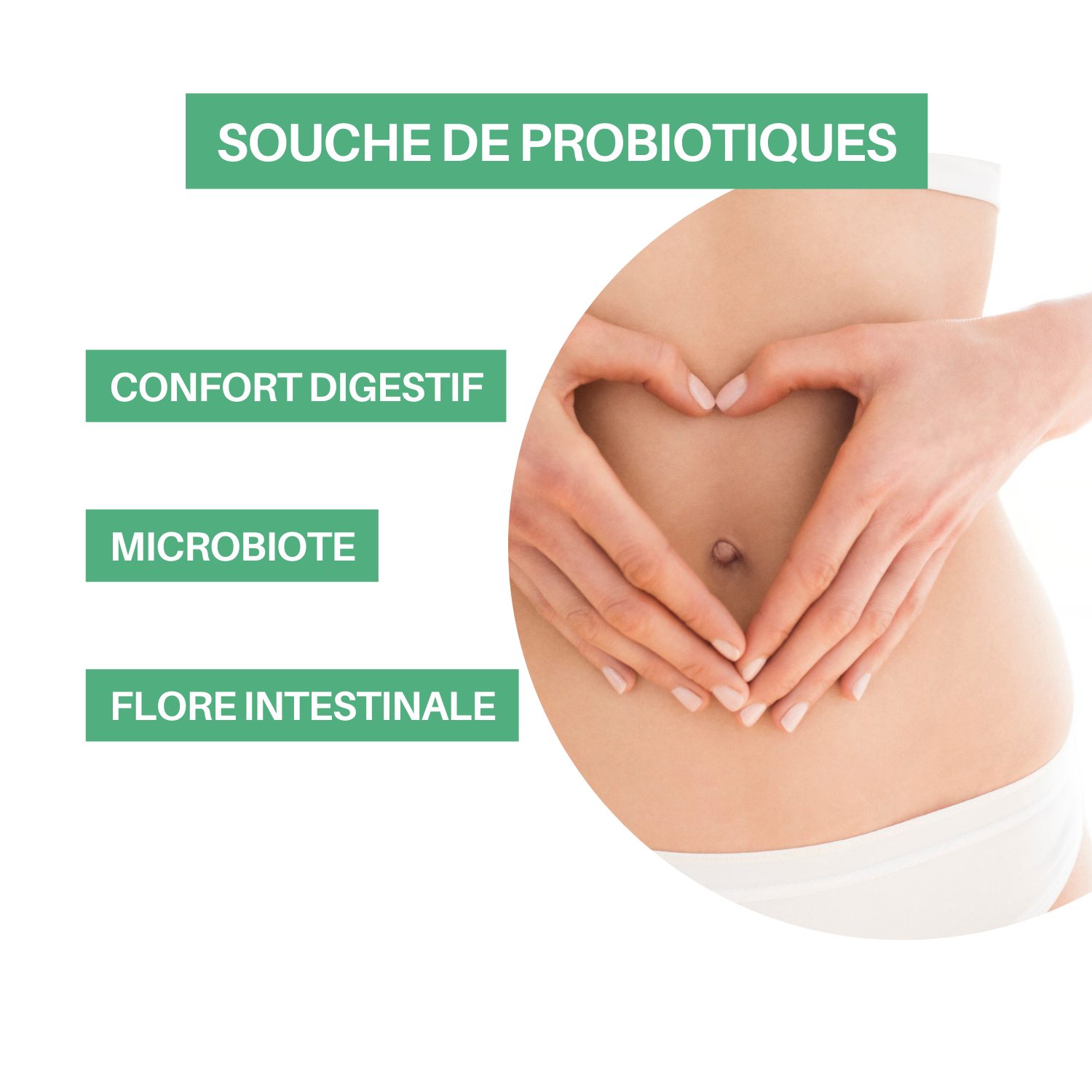 Lafti L10 – Lactobacillus helveticus & Inuline – Immunité & Équilibre du Microbiote – Image 3