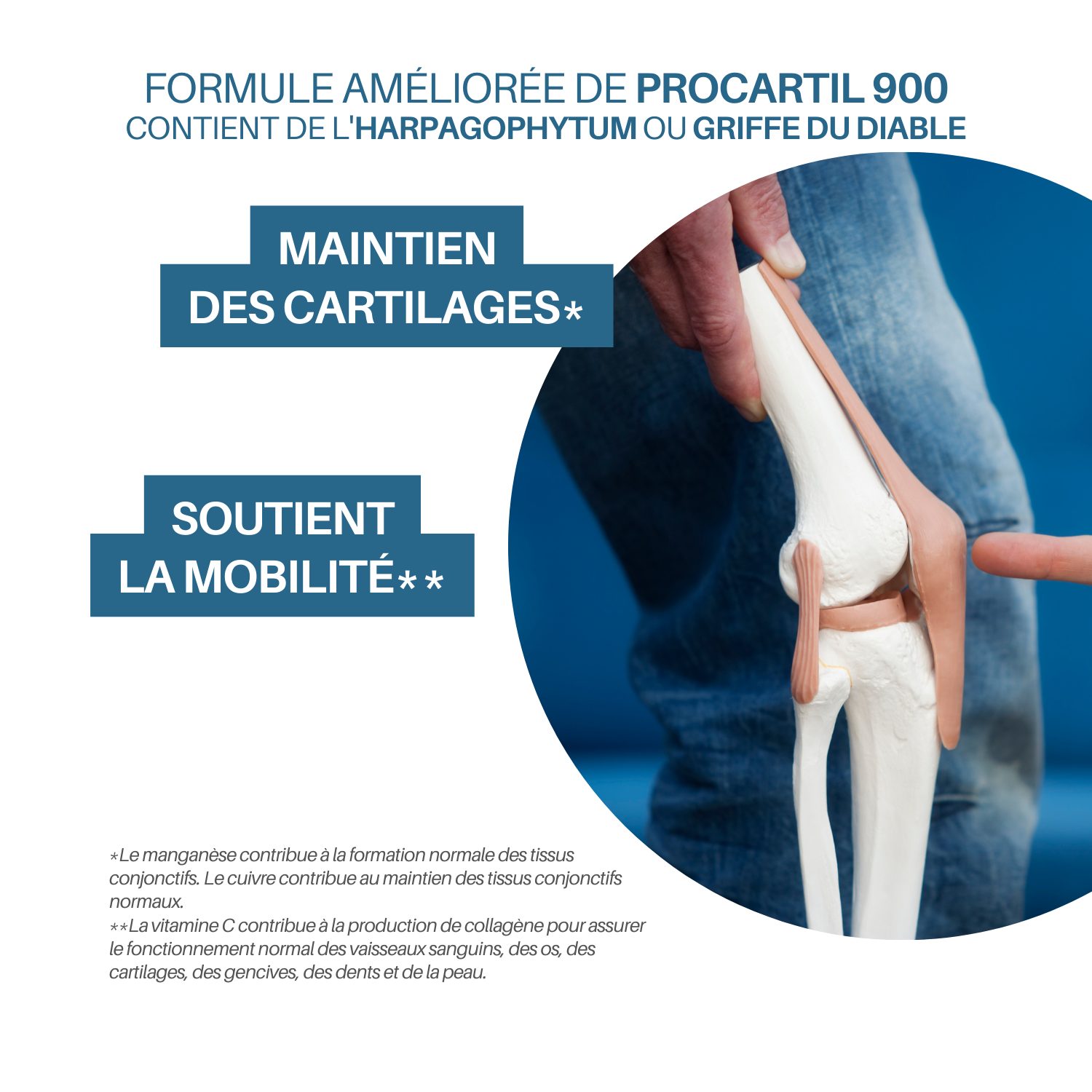 HarpagoCartil – Articulations – Glucosamine, Chondroïtine – Image 3