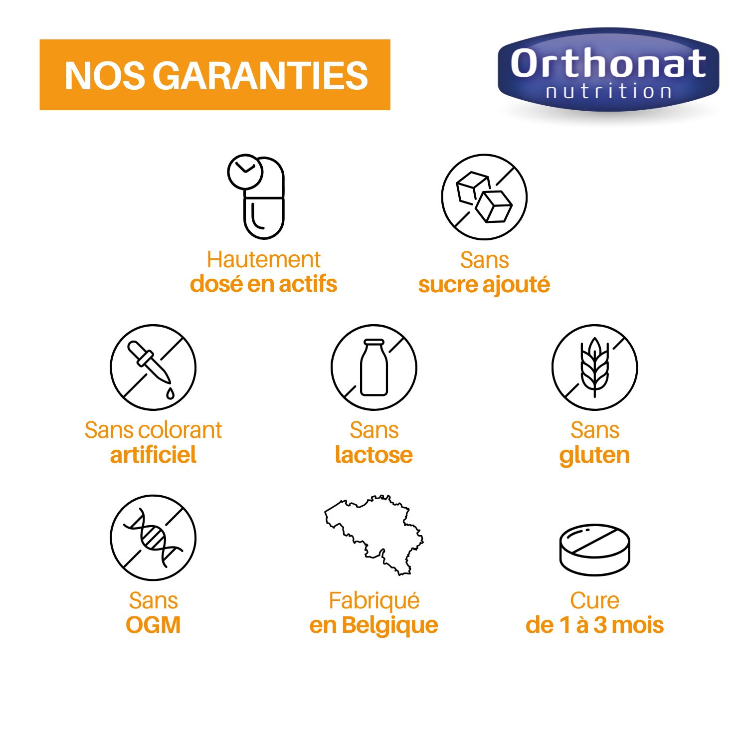 Acerola 1000 Vitamine C - Immunité & Vitalité - Soutien immunitaire – Image 4