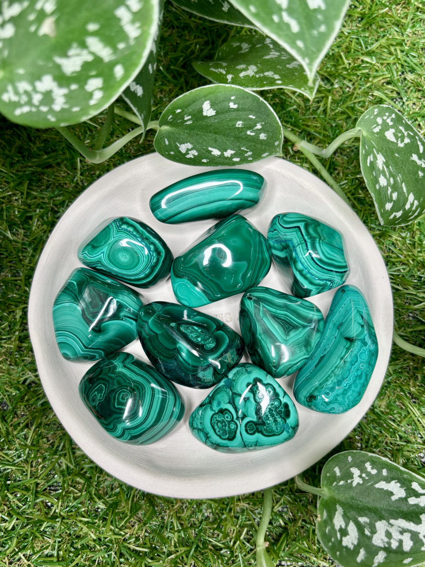 Malachite Foncée du Congo AAA