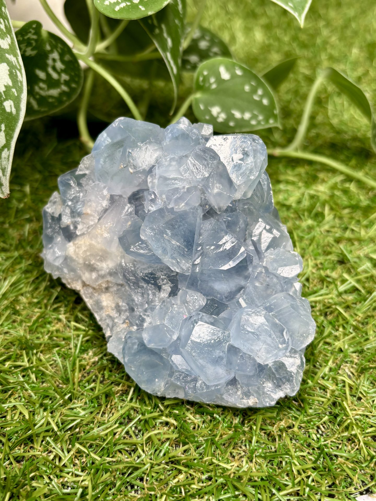 Géode de Célestine de Madagascar n°58 qualité AAA 641g