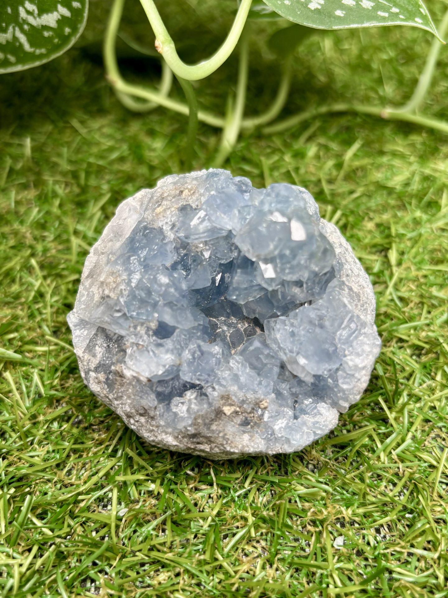 Géode de Célestine de Madagascar n°50 qualité AAA 277g