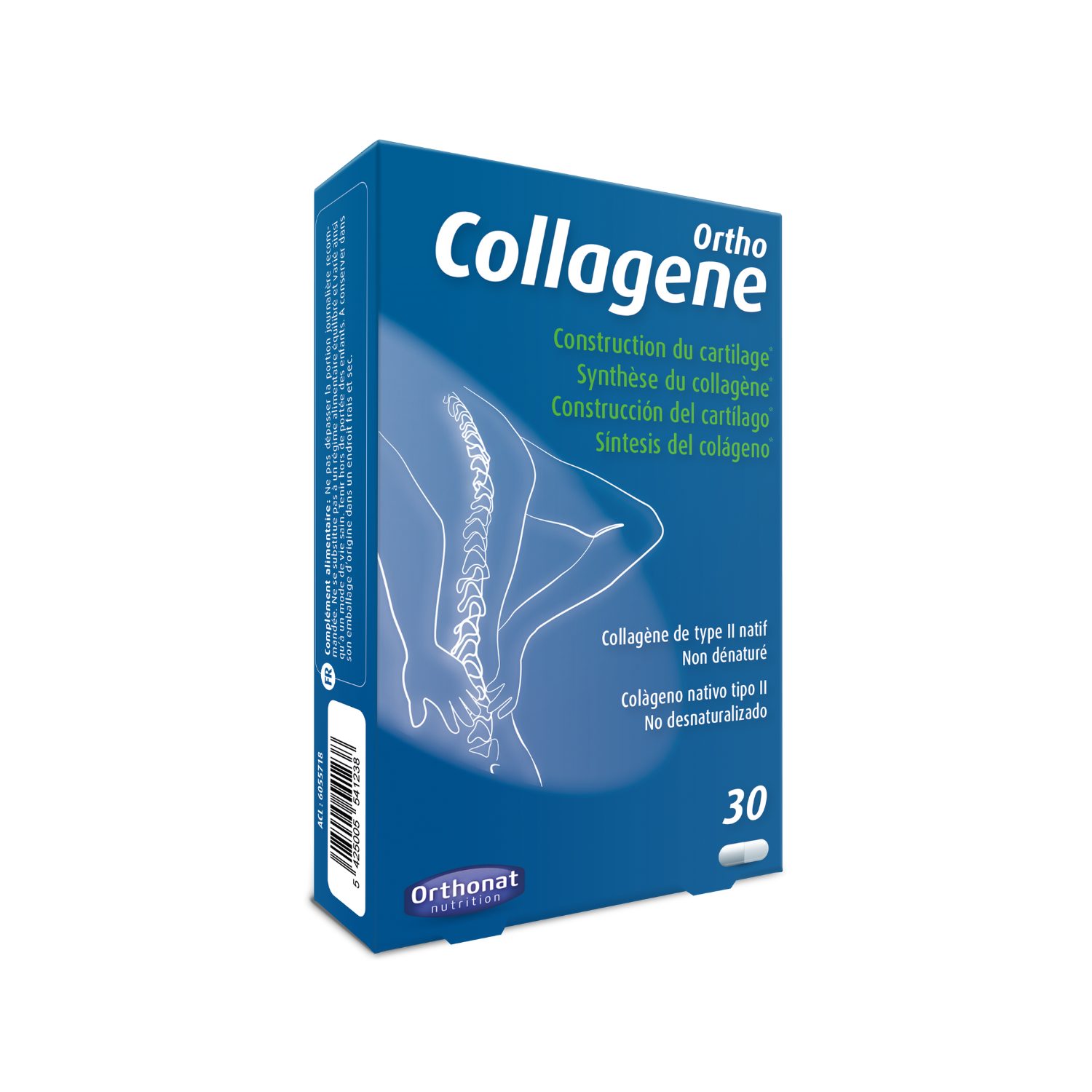 Collagène – Collagène type II & Vitamine C – Articulations