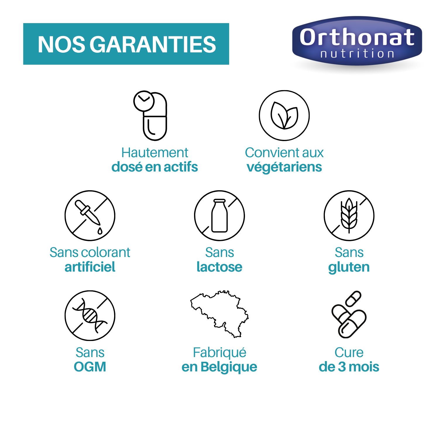 Orthepur – Détoxification Hépatique & Digestion – Chardon-Marie, Radis Noir, Artichaut, NAC – Image 4