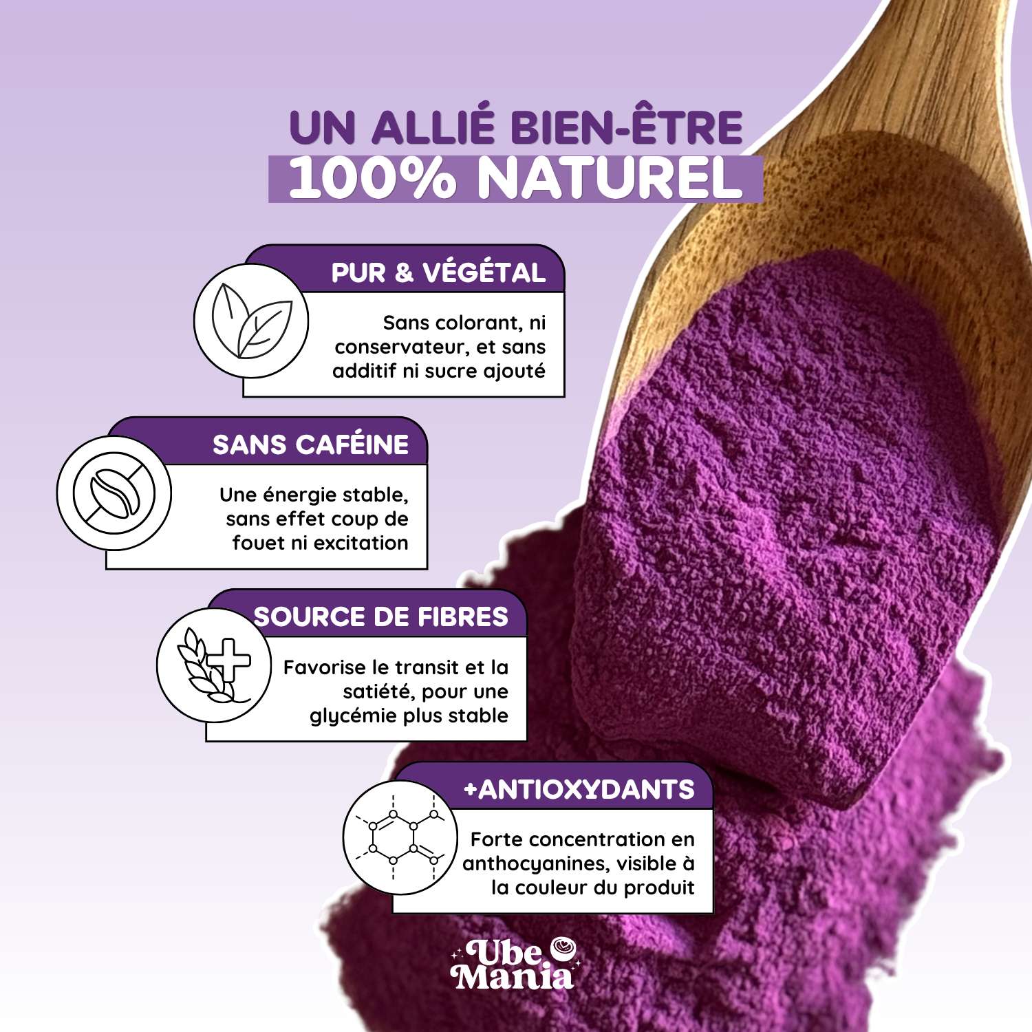 Ube en Poudre des Philippines Ubemania – 100% pure et naturelle – Source naturelle de fibres et antioxydants – Image 3